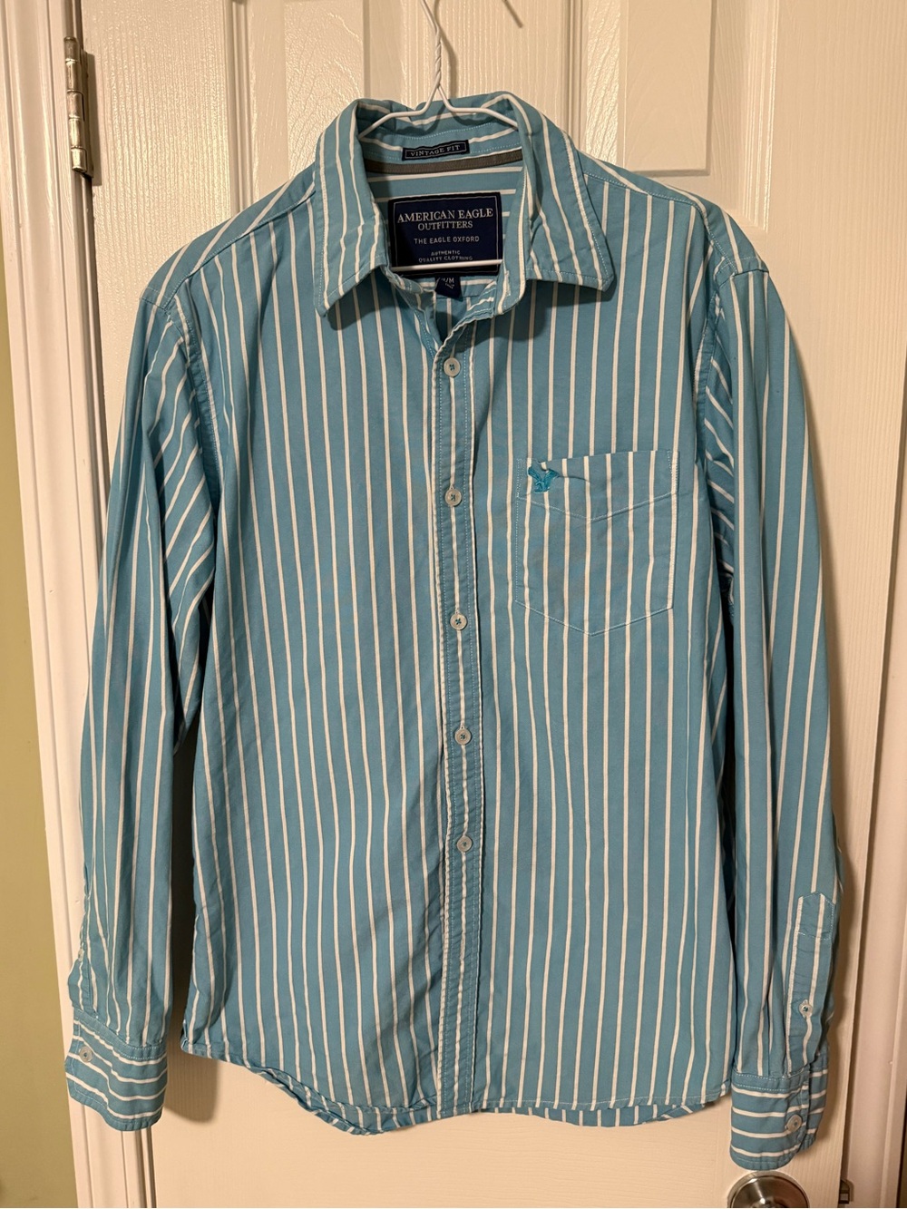 American Eagle The Eagle Oxford Button Up